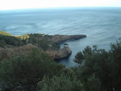 DSCF0039.JPG